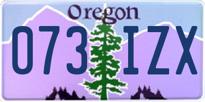 OR license plate 073IZX