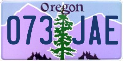 OR license plate 073JAE