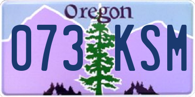 OR license plate 073KSM