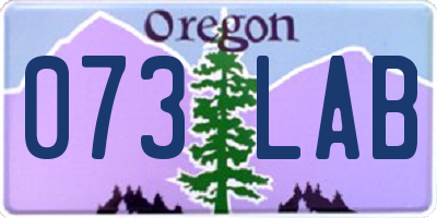 OR license plate 073LAB