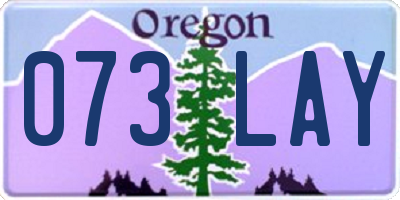 OR license plate 073LAY