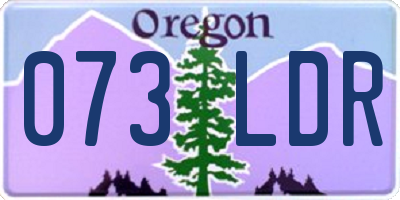 OR license plate 073LDR