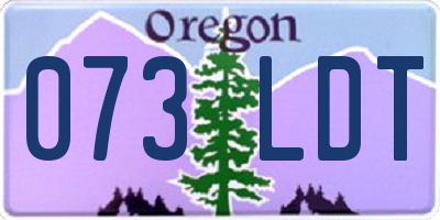 OR license plate 073LDT