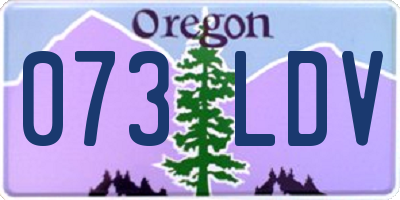 OR license plate 073LDV