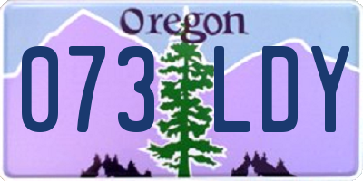 OR license plate 073LDY