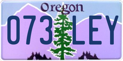 OR license plate 073LEY