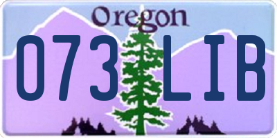 OR license plate 073LIB
