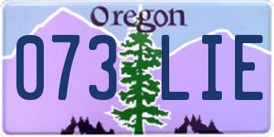 OR license plate 073LIE