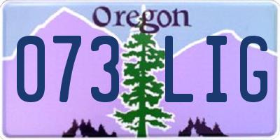 OR license plate 073LIG