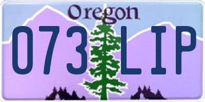 OR license plate 073LIP