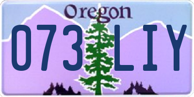 OR license plate 073LIY