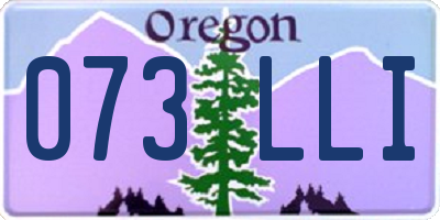 OR license plate 073LLI
