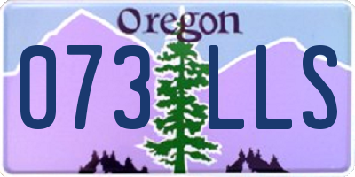 OR license plate 073LLS