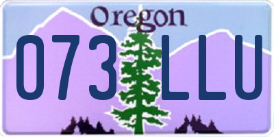 OR license plate 073LLU