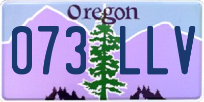 OR license plate 073LLV
