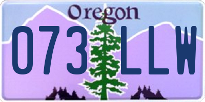 OR license plate 073LLW