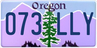 OR license plate 073LLY