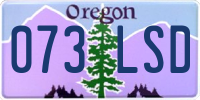OR license plate 073LSD