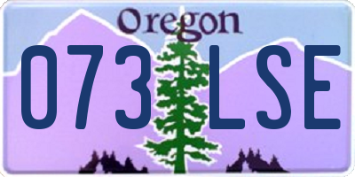 OR license plate 073LSE