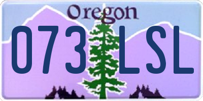 OR license plate 073LSL