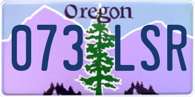 OR license plate 073LSR