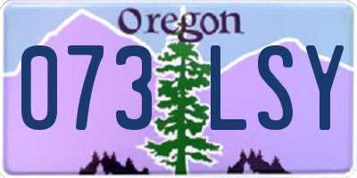 OR license plate 073LSY