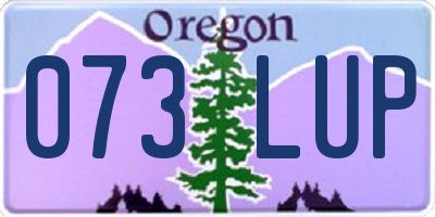 OR license plate 073LUP
