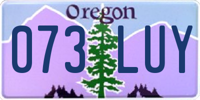 OR license plate 073LUY