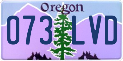OR license plate 073LVD