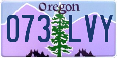 OR license plate 073LVY