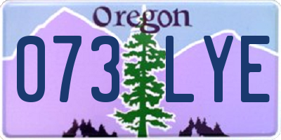 OR license plate 073LYE
