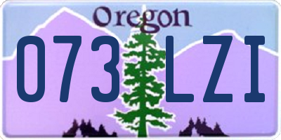 OR license plate 073LZI
