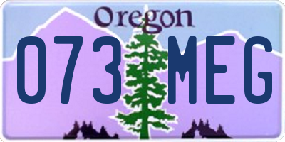 OR license plate 073MEG