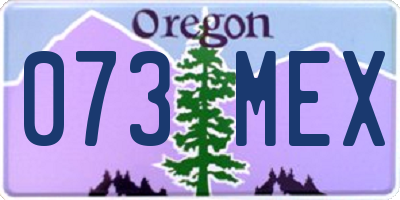 OR license plate 073MEX