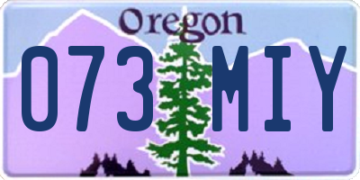 OR license plate 073MIY