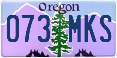 OR license plate 073MKS
