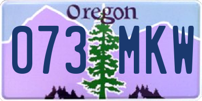 OR license plate 073MKW