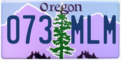 OR license plate 073MLM