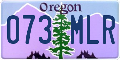 OR license plate 073MLR