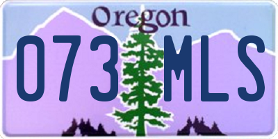 OR license plate 073MLS