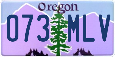 OR license plate 073MLV