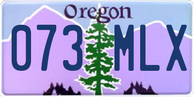 OR license plate 073MLX