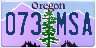 OR license plate 073MSA