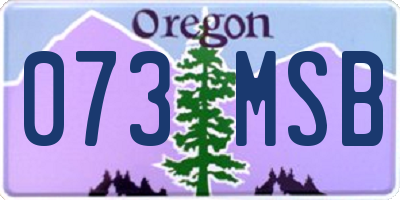 OR license plate 073MSB