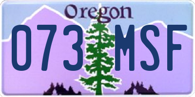 OR license plate 073MSF