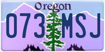 OR license plate 073MSJ