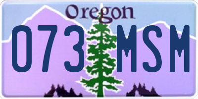 OR license plate 073MSM