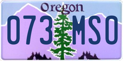 OR license plate 073MSO