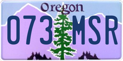 OR license plate 073MSR