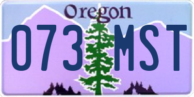 OR license plate 073MST